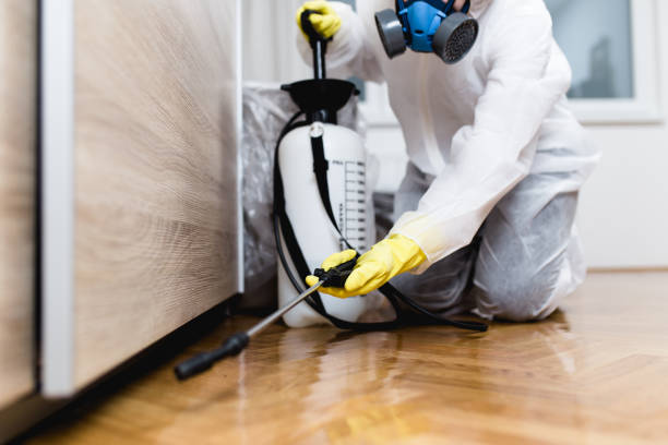  New California, OH Pest Control Pros