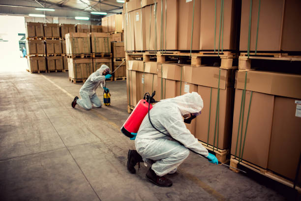 Best Local Pest Control Services  in New California, OH