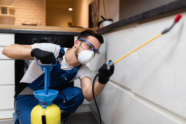 Best Wildlife Control Services  in New California, OH