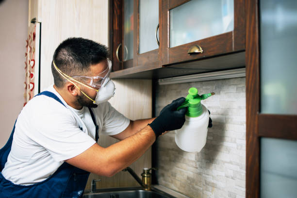 Best Affordable Pest Control Services  in New California, OH