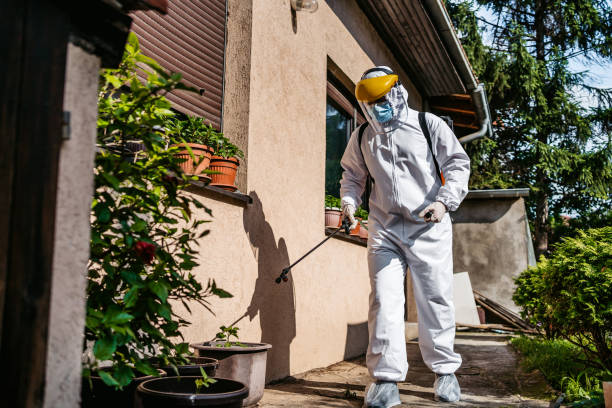 Best Ant Control Services  in New California, OH