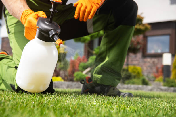 Best Pest Prevention Services  in New California, OH