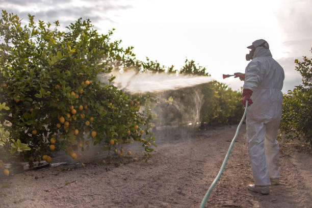 Professional Pest Control in New California, OH