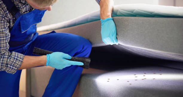 Best Pest Prevention Services  in New California, OH