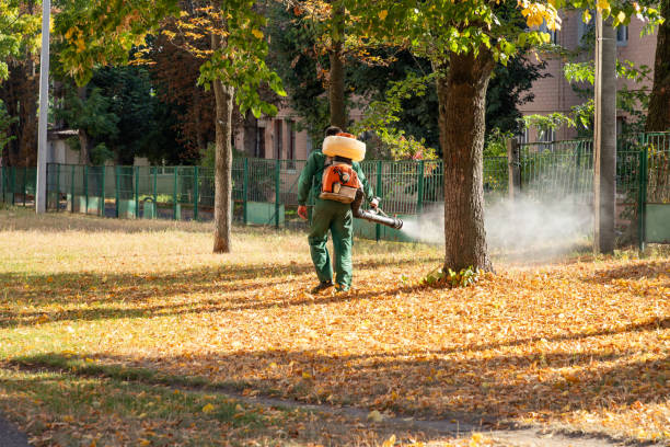 Best Cockroach Control Services  in New California, OH